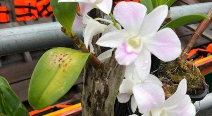 Orchid Lake House Ban Wang Khon Екстериор снимка
